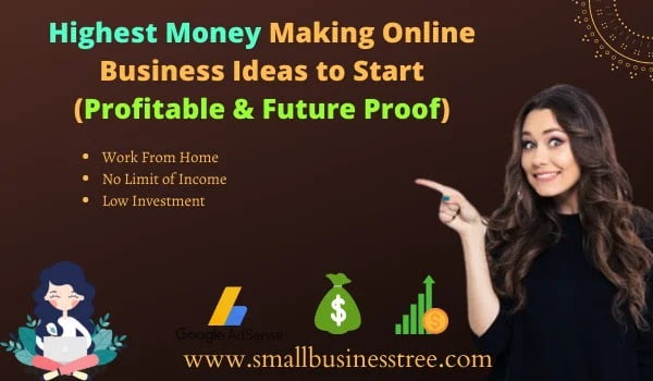 Highest Money Making Online Business Ideas to Start