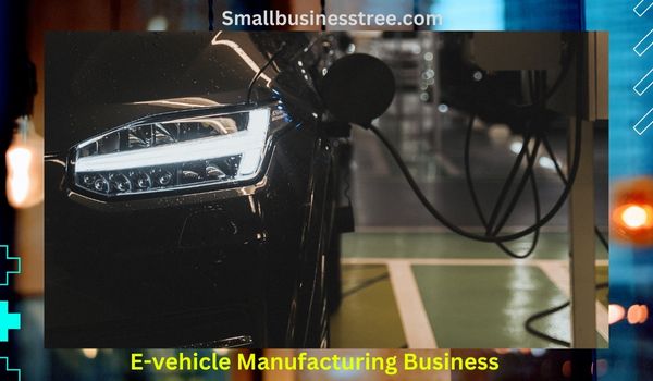 Electric Vehicle Business