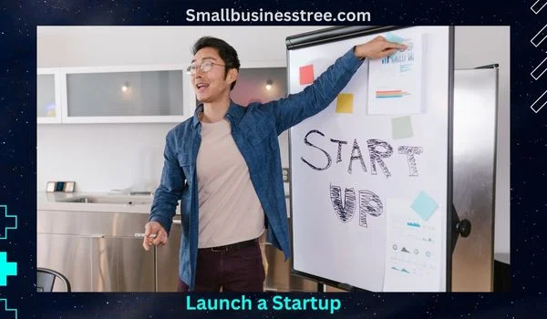 Online Startup