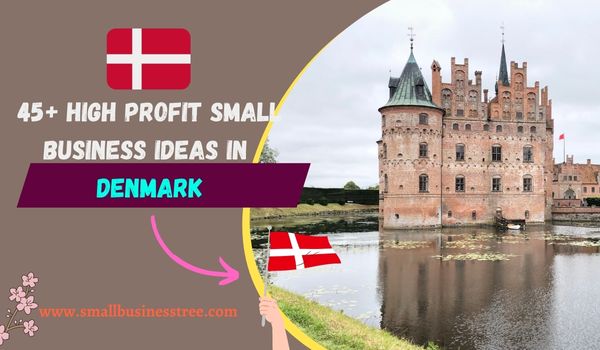 Small Business Ideas in Denmark