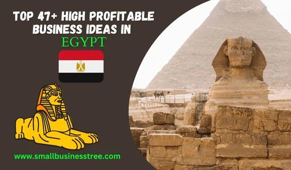Small Business Ideas in Egypt