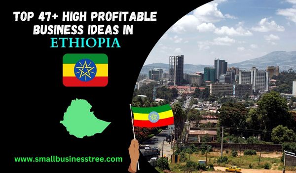 Small Business Ideas in Ethiopia