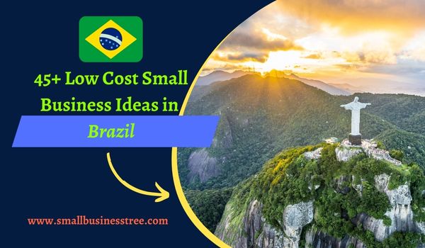 Small Business Opportunities in Brazil Small Business Opportunities in Brazil