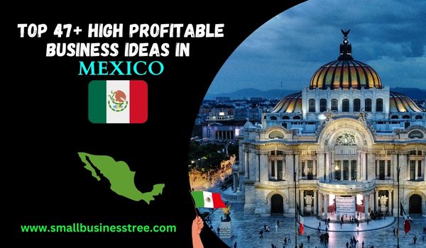 Small Business Opportunities in Mexico