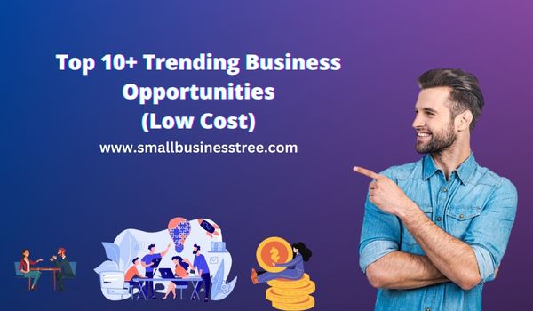 Trending Business Ideas